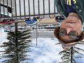 20241124-140159-0w640_thumb.png