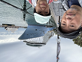 20241128-090334-0w640_thumb.png