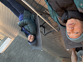 20250113-100718-0w640_thumb.png
