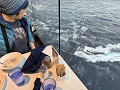 20250114-091821-0w640_thumb.png