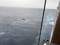 20250114-092004-0w640_thumb.png